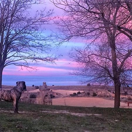 Apartamento Ribera Del Duero Reserva Tubilla del Lago Dış mekan fotoğraf
