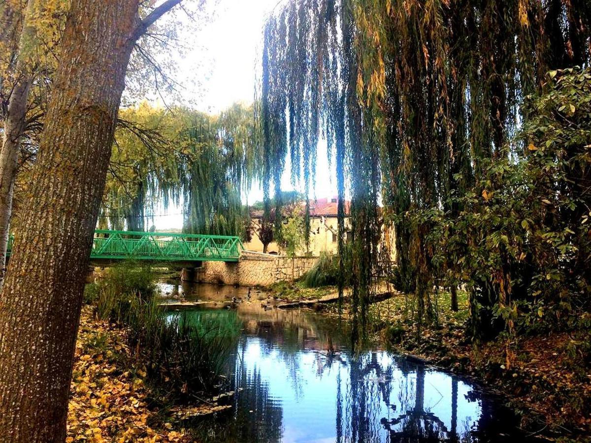 Apartamento Ribera Del Duero Reserva Tubilla del Lago Dış mekan fotoğraf