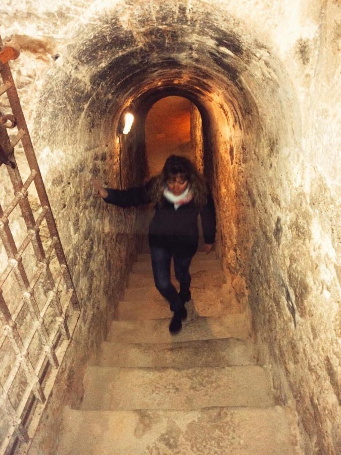 Apartamento Ribera Del Duero Reserva Tubilla del Lago Dış mekan fotoğraf