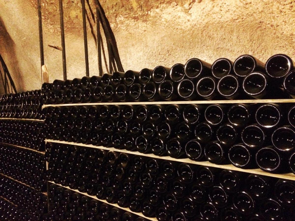 Apartamento Ribera Del Duero Reserva Tubilla del Lago Dış mekan fotoğraf