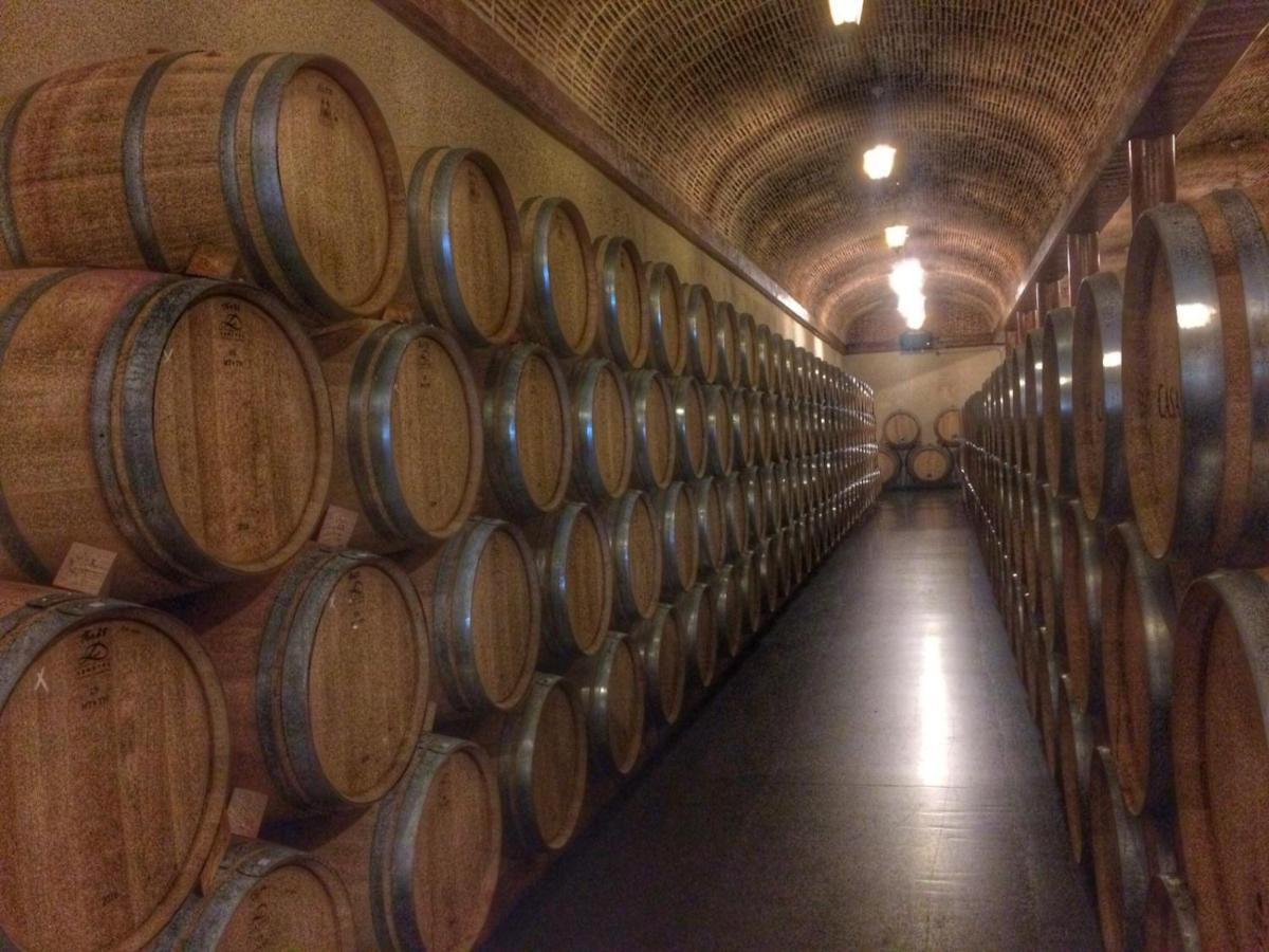 Apartamento Ribera Del Duero Reserva Tubilla del Lago Dış mekan fotoğraf