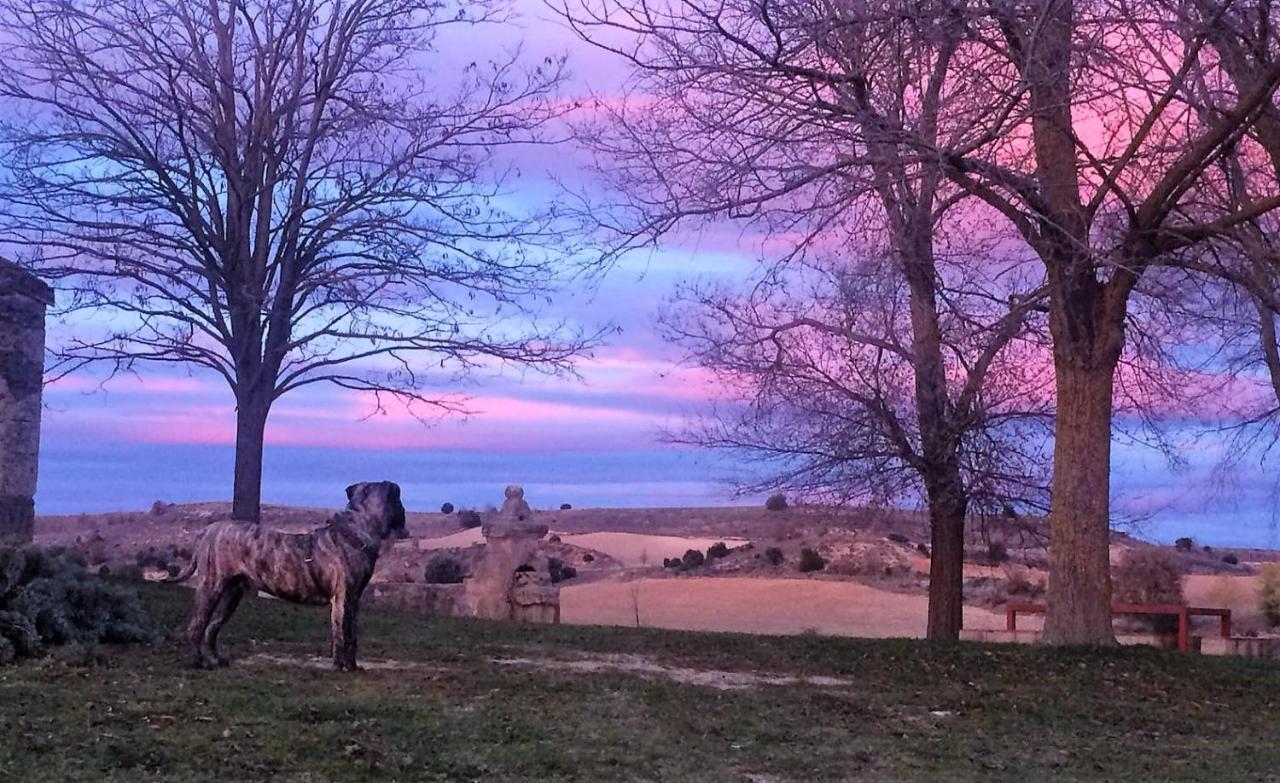 Apartamento Ribera Del Duero Reserva Tubilla del Lago Dış mekan fotoğraf